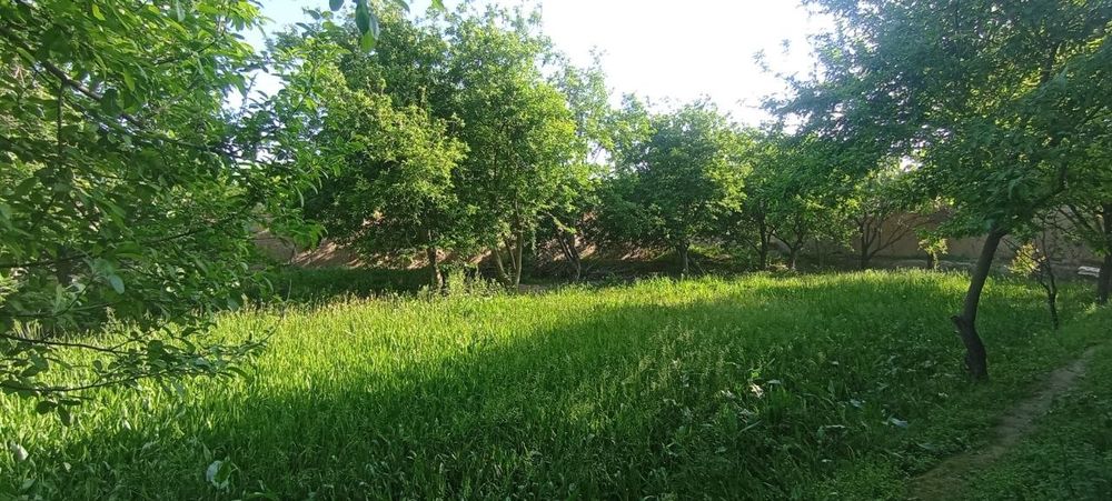 Кармана янги арик422_ уй