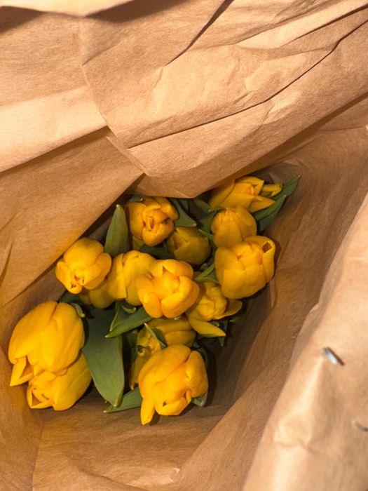 Тюльпаны 70 см к 8 марта