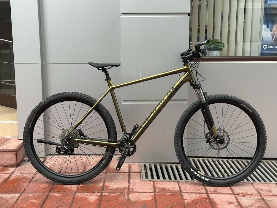 Bergamont Revox 6 29 XXL