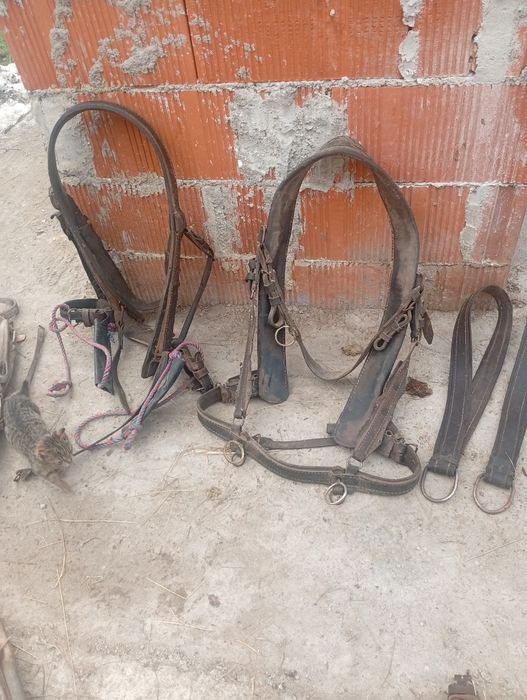 Vând hamuri pentru cai