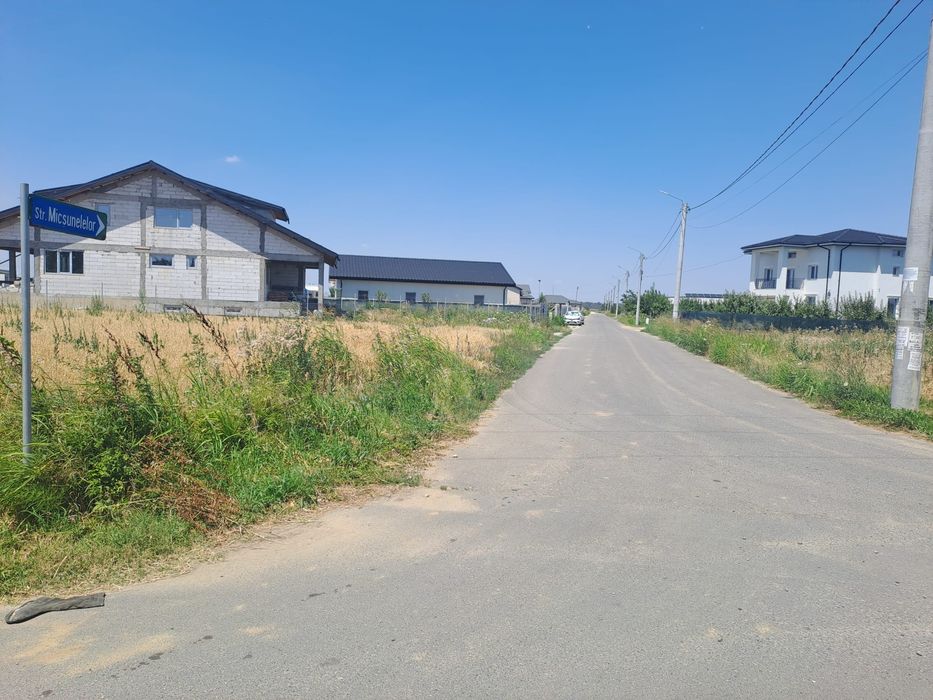 Comuna 1 decembrie loturi 500-655-1155 mp str micsunelelor  lidl