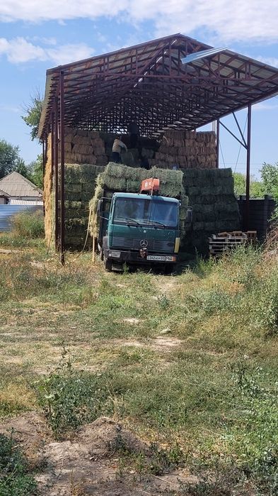 Продам люцерну в тюках