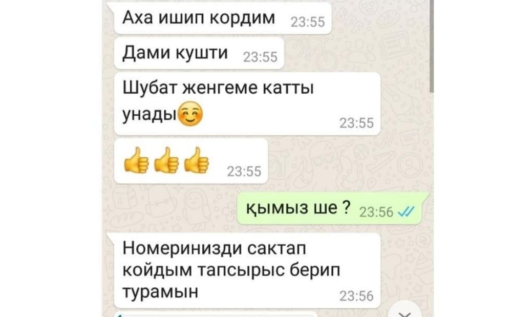 Қымыз, шұбат/ кымыз, шубат