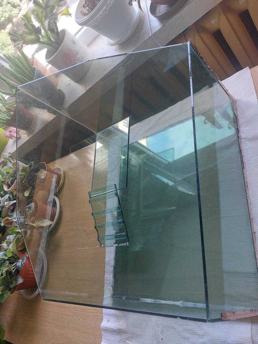 Аквариум за влечуги