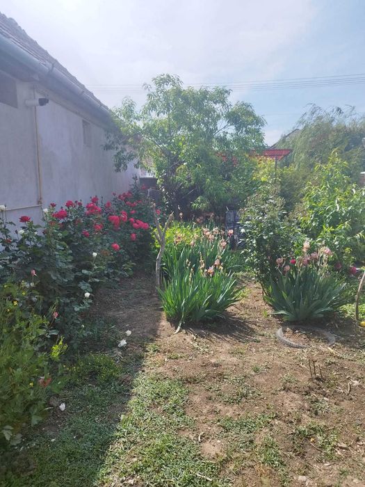 De vânzare DOUA CASE în aceeași curte ! preț negociabil !  Detalii la 0757 229 875