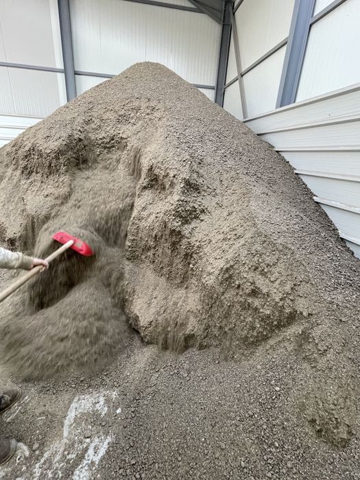 Srot floarea soarelui