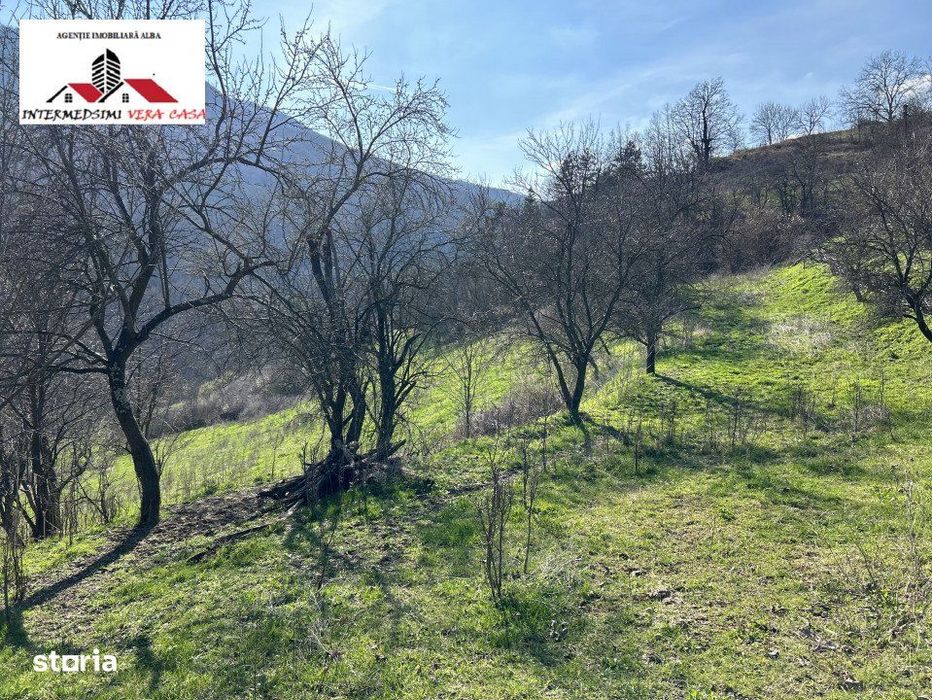 Teren intravilan - extravilan 9,3 Ha de vanzare Matacina Jud Alba