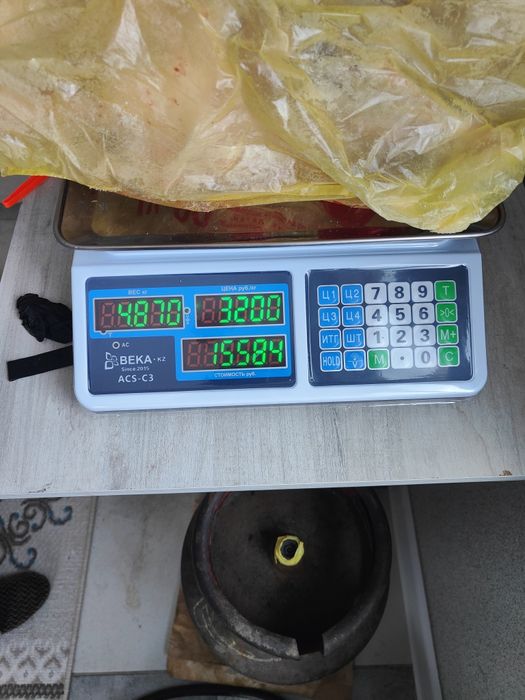 Продам домашних гусей