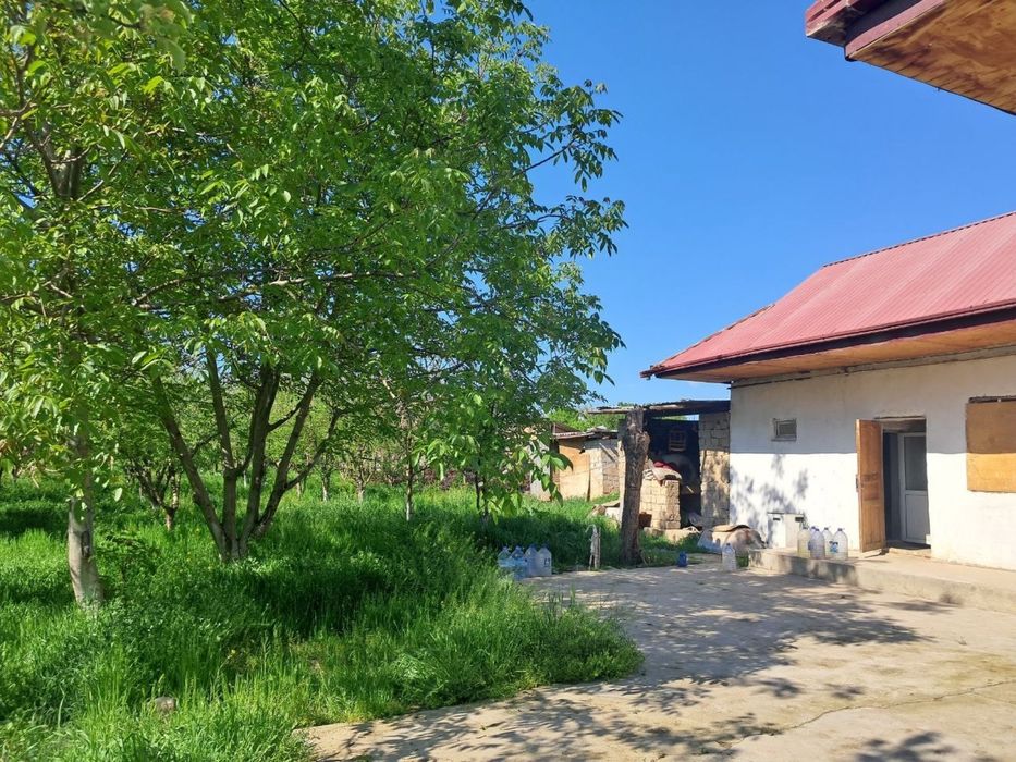 Arendaga uy hovli beriladi