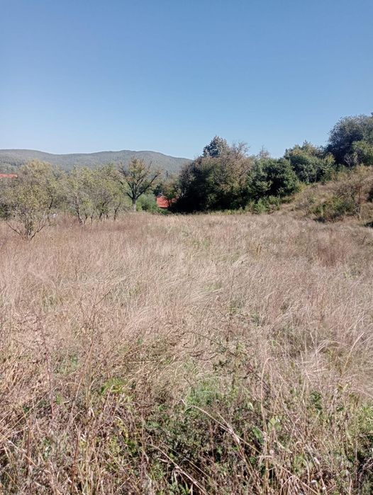 De vânzare teren in Moigrad 50 ari