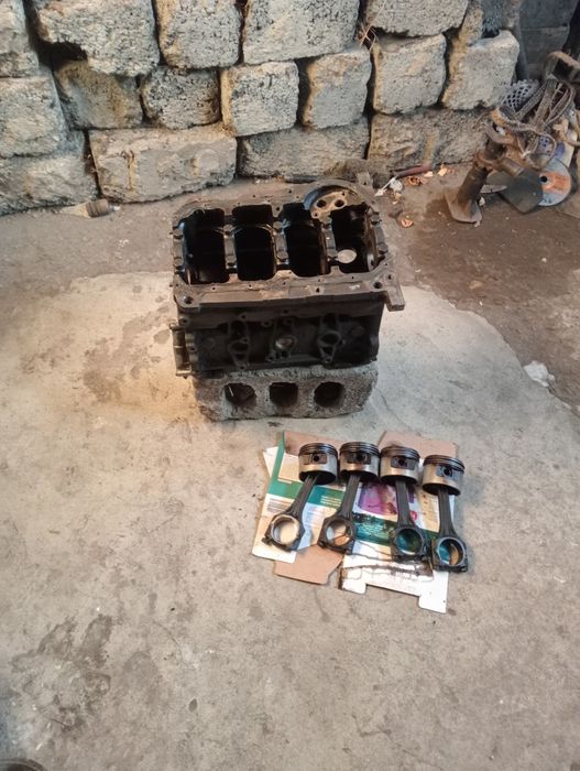 продам 2 галовка Мона