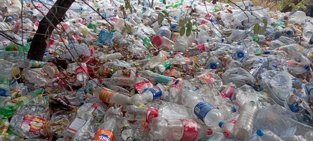 Baklashka bakalashka sotiladi 1 tonnadan ko'p