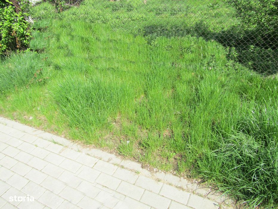 Teren intravilan de vanzare in Vintu de Jos