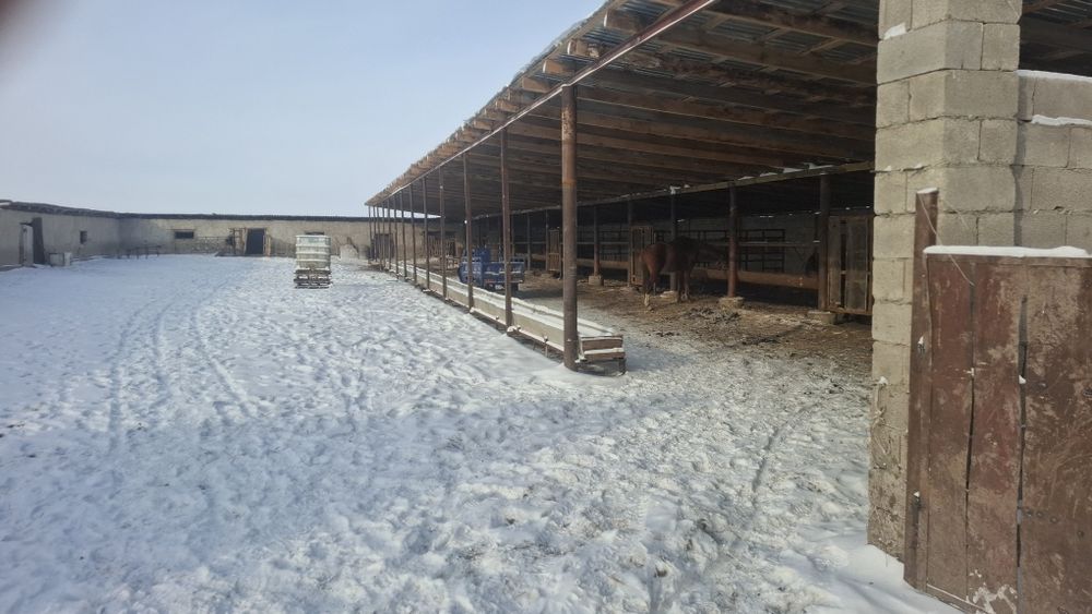 Фазенда Срочно сатылады