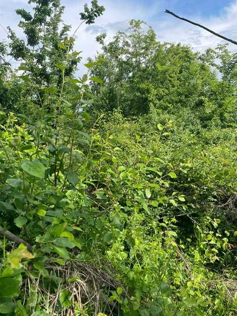 4 terenuri de vânzare în Lucieni, Dâmbovița, la 90 de kilometri de București