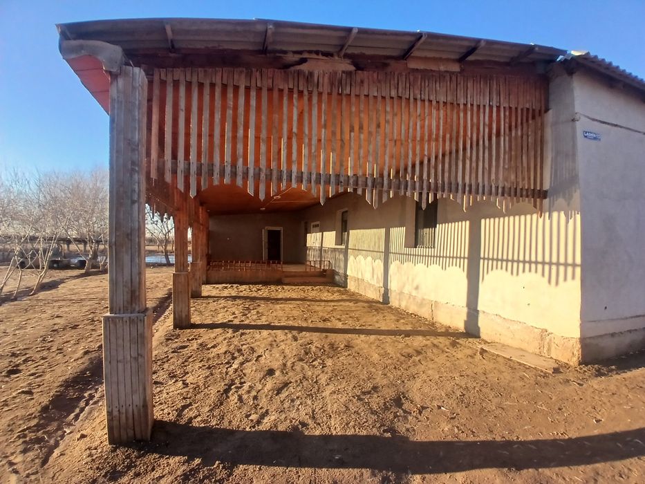 Шоманай Р/н Ташкент сапхозда