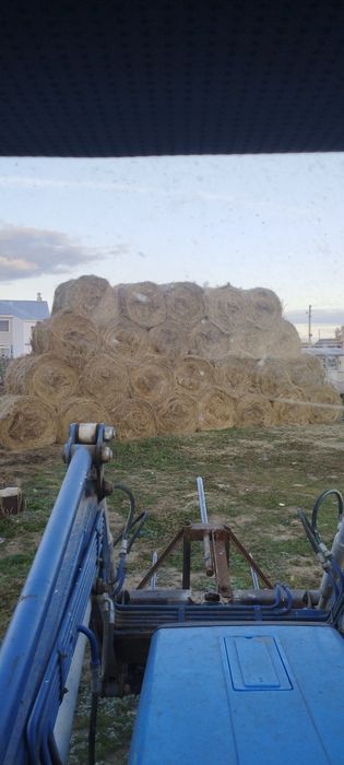 Продам сено в рулонах