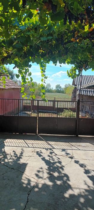 Vand casa cu anexe Berechiu jud Arad