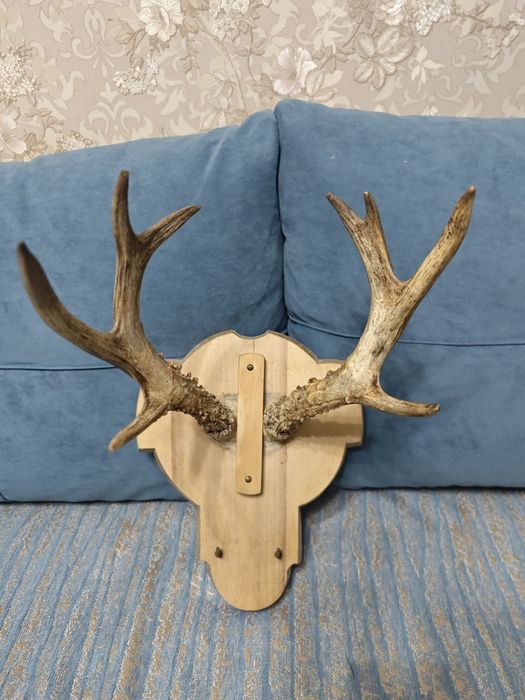 Рога косули (панно)