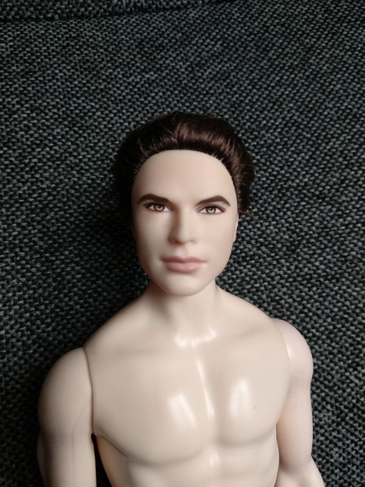 Барби Кен Эмметт из Саги Сумерки.