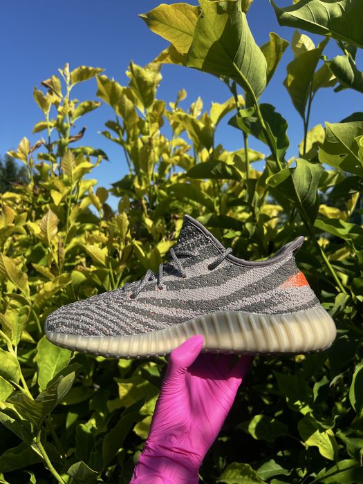 Yeezy 350 Beluga