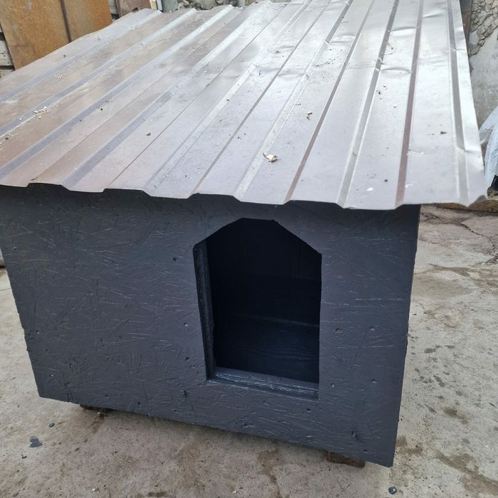 Coteț caine, catei,