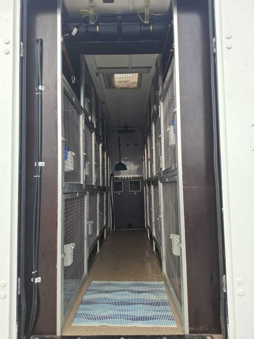 transport animale de conpanie romania spania franta italia