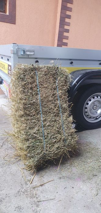 Vand baloti de lucerna