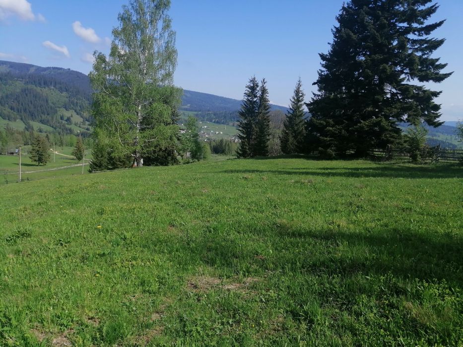 Vând teren intravilan.