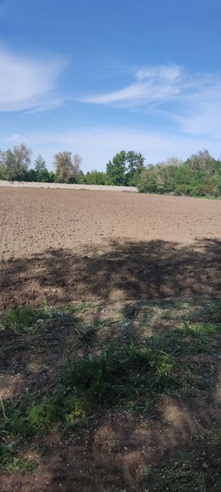 Земля в аренду посев сад огород