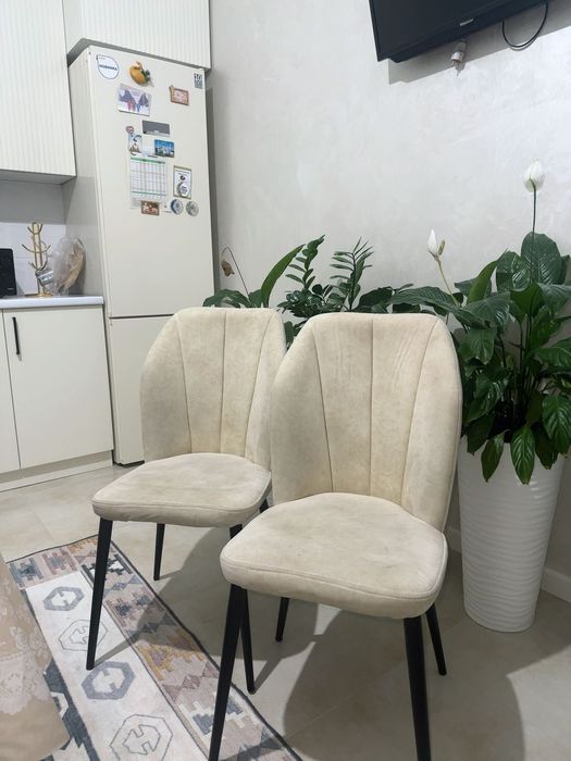 Стулья 6 штук, хорошее состояние