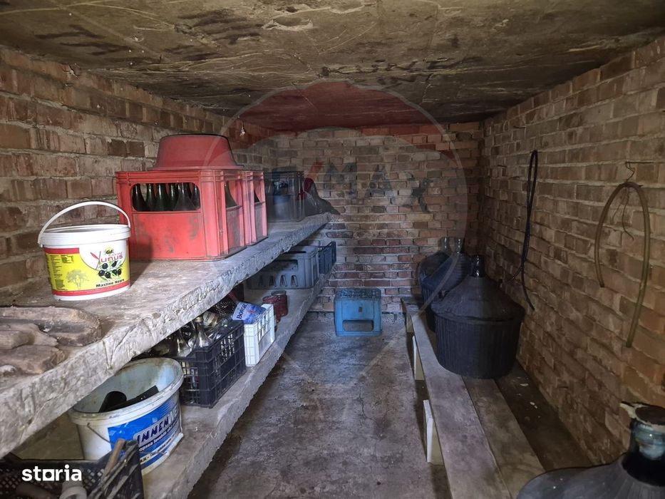 Casă de vânzare cu 4 camere si anexe in Horgești-Recea