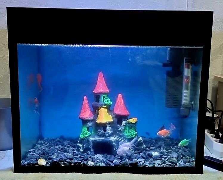 Аквариум с полным оснащением / Тулик жихозланган аквариум