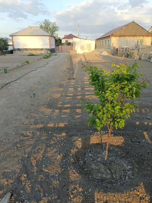 Жер үй  сатылады