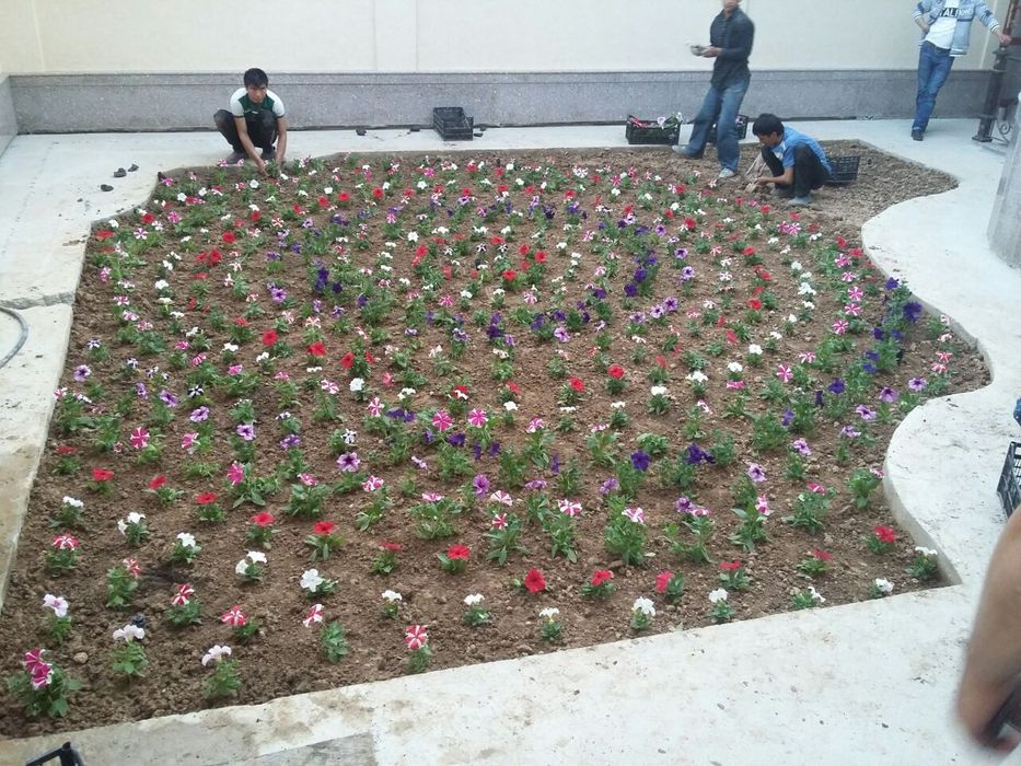 Gazon landshaft vadapad