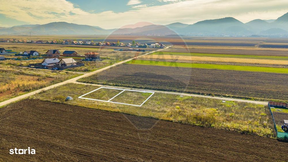 0% Comision | Teren 650 mp | Sacele, Str. Venus | INTRAVILAN