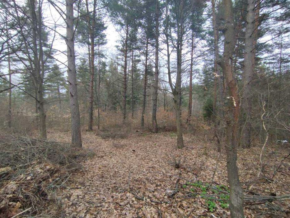 продавам парцел в.з. Ренов дол, до яз.Искър
