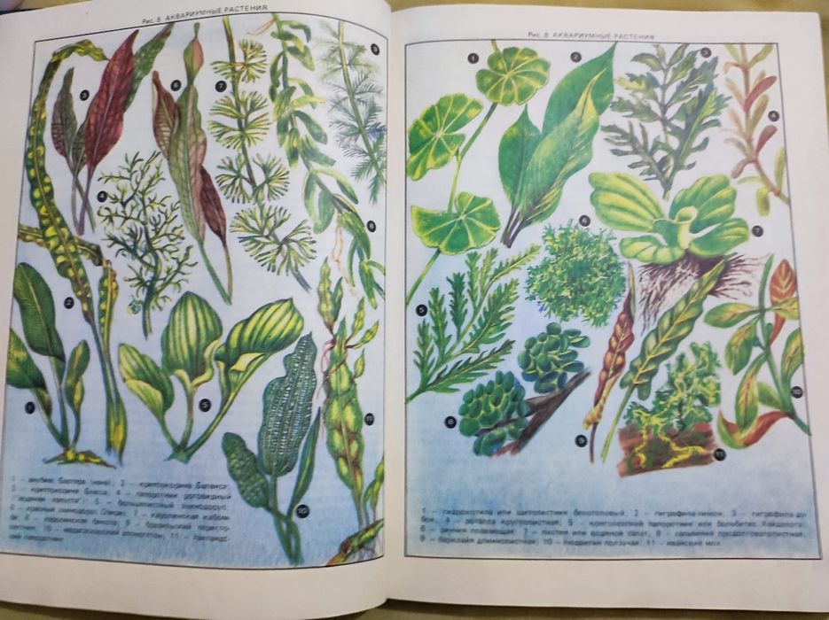 Книга об аквариумных рыбах