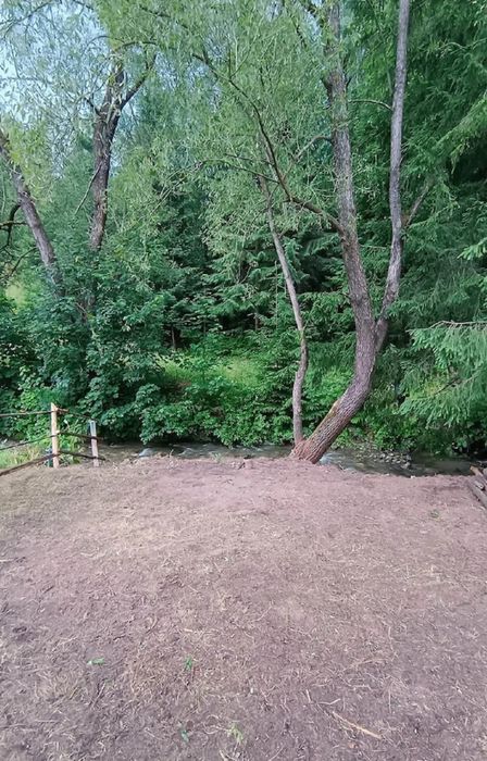 Teren in  Bucovina  Pojorâta