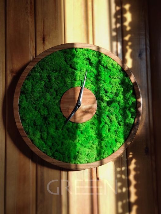 Стабилизированный Мох Фитостены Растения