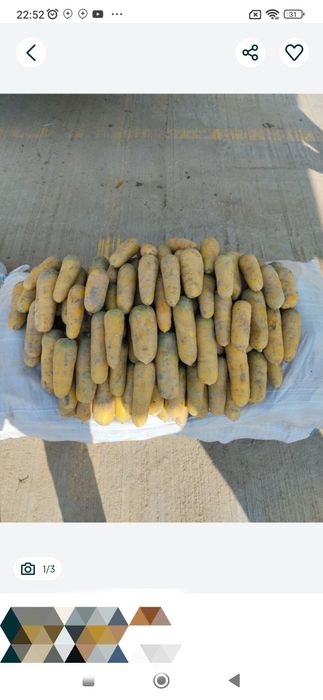 Сабзи 5000 сум доставкаси билан