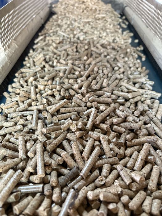 Peleti amestec rasinose cu fag