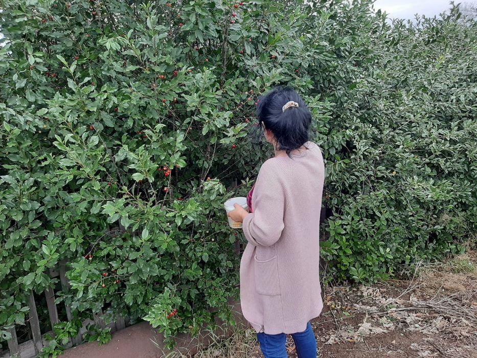 Продаеться дом шпальный