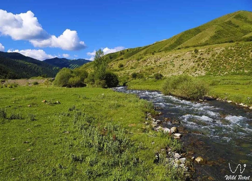 Продам КХ (Крестьянское Хозяйство) 60га