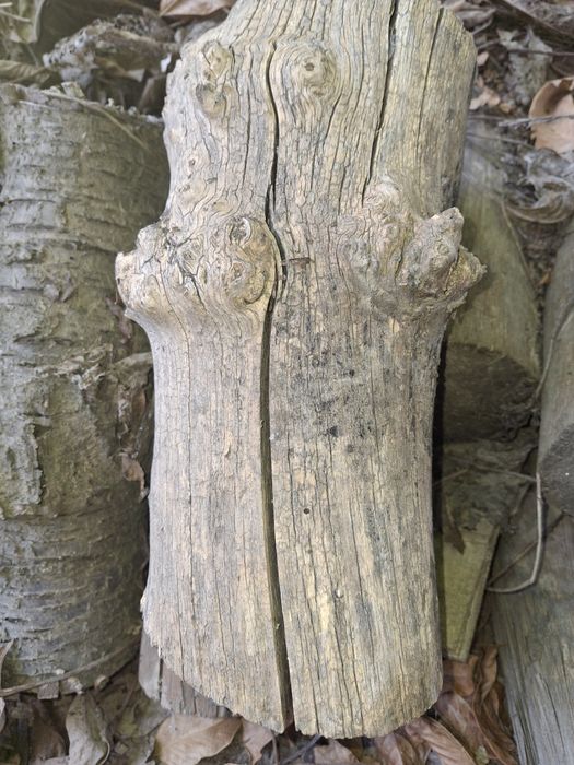 Дрова в мешках для шашлыка и бани