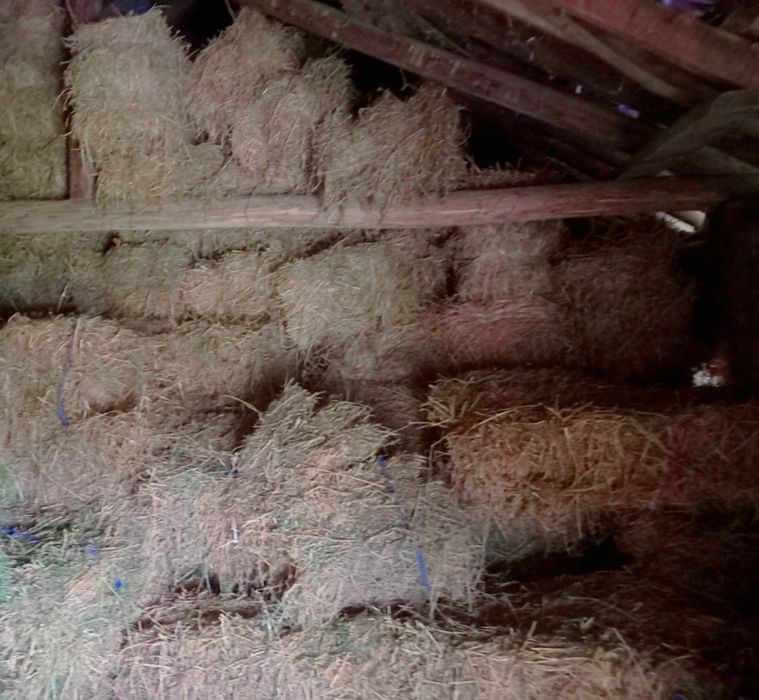 Люцерна малки бали