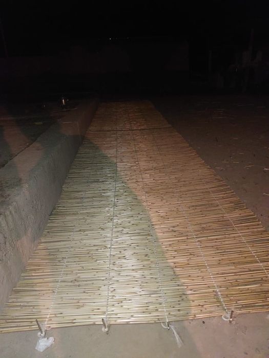 Қамыс 250 ши 3000