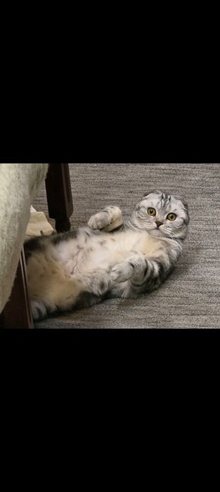 Бронь на девочку с документами.
