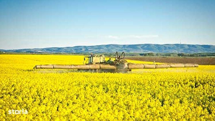 Portofoliu Agricol Premium 3.000 Ha Sudul Romaniei Oportunitate Invest