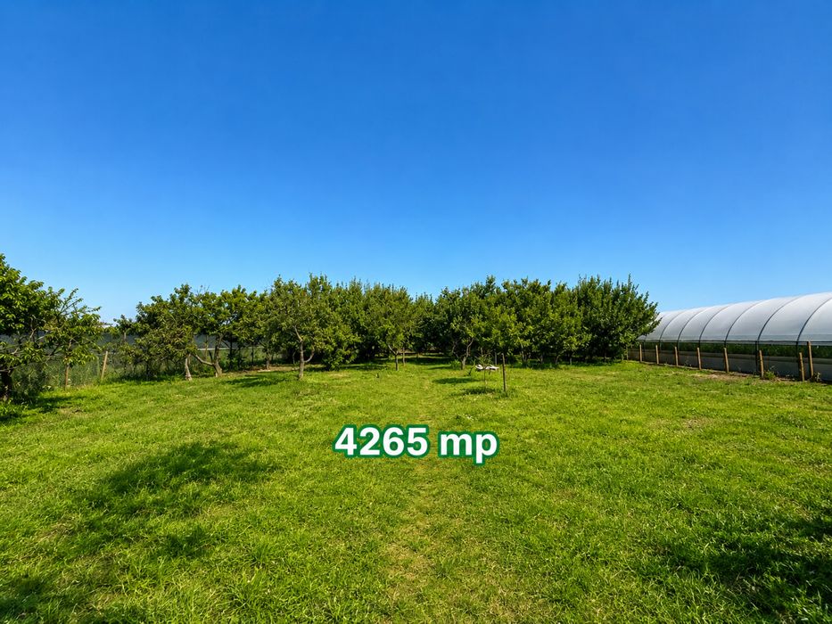 Proprietate cu teren 4.265 mp, casă 186 mp, livadă și anexe – Izbiceni